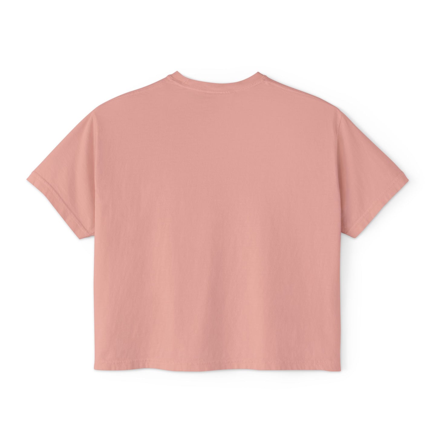 Nice Racc Crop Tee — Women's Boxy Graphic T‑Shirt with Sloth Illustration